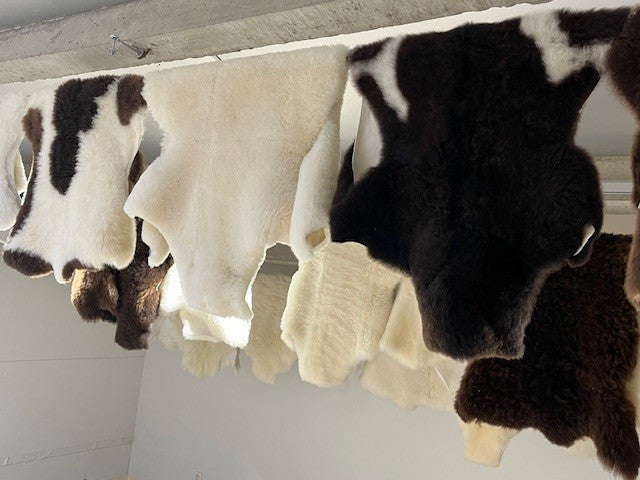 Schaap-Koevachten Braainest