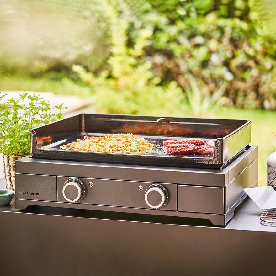 Elektrische Plancha 60 cm Zwart Staal | Forge Adour Forge Adour