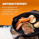 Petromax Grill Skillet 2 handvaten 30cm Petromax