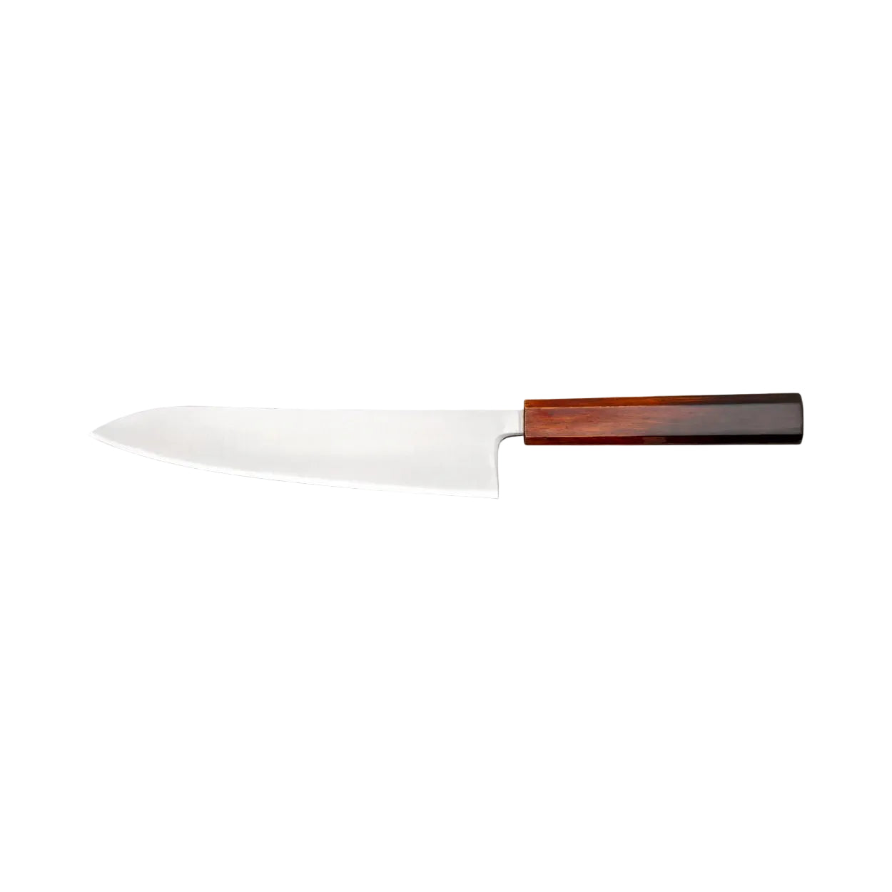 Hokiyama Gyuto SRS13 Migaki 210mm Japans Chefmes Braainest