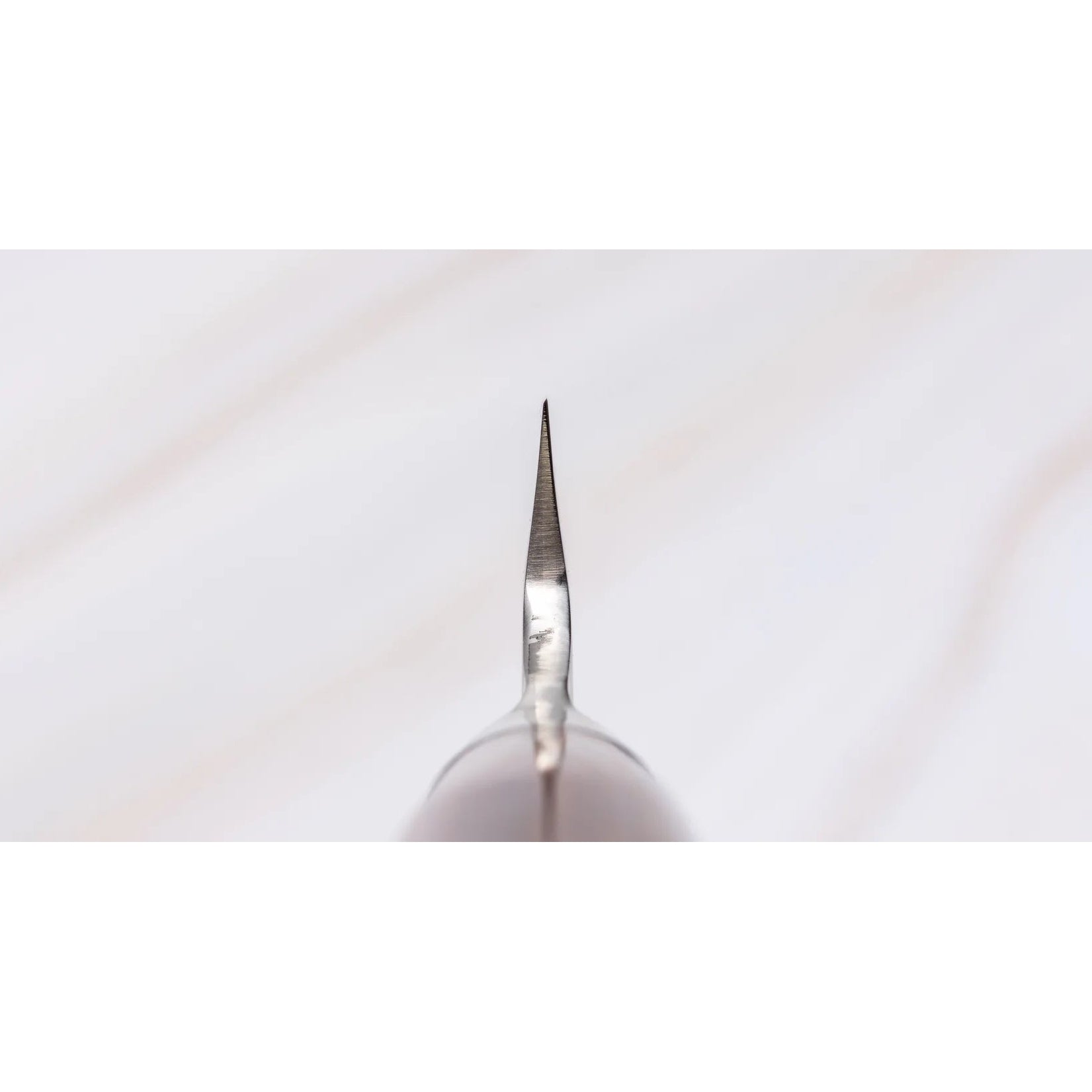 Tamahagane Tsubame Sashimi-Slicer 240mm Mes Braainest