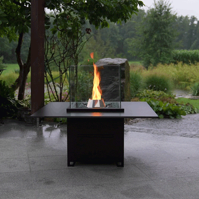 Pelmondo Lounge Cube met tafel NOG BEWERKEN FOTO EN PRIJS Pelmondo