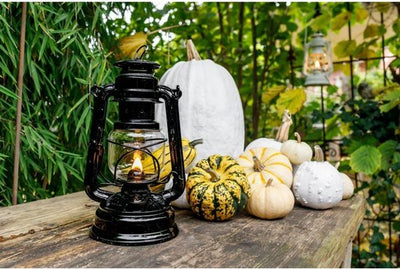 Feuerhand Stormlamp 276 M GRIJS - Petroleum Feuerhand