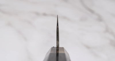 HAP-40 Gyuto Black Ebony 210mm Mes Braainest