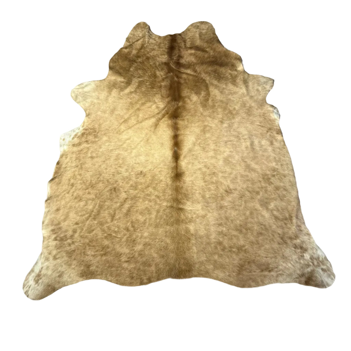 Koevacht Camel kleur