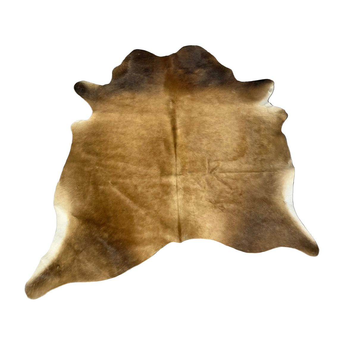 koevacht Camel kleur