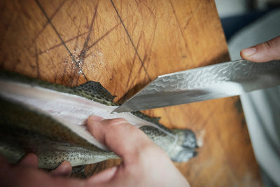 Kouhei-Shinmatsu ZDP-189 Bunka Silver 200mm Mes Braainest