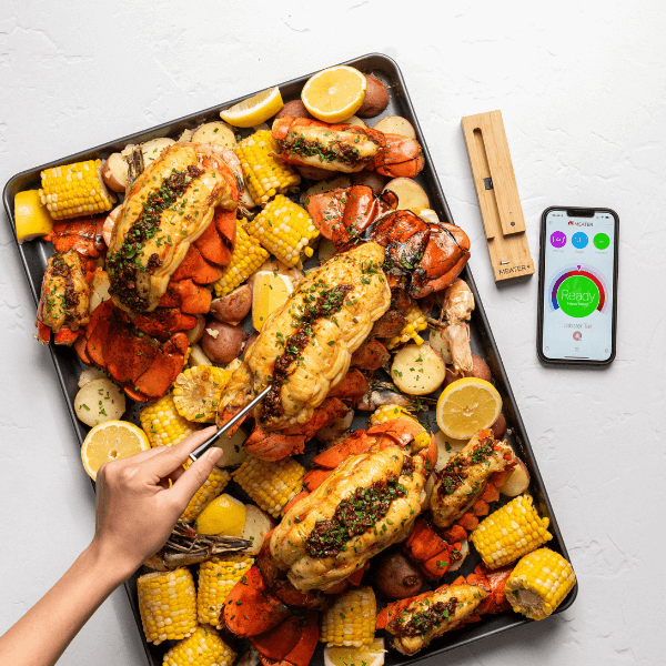 MEATER Plus Draadloze Vleesthermometer Bluetooth Braainest