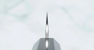 Nigara Sujihiki Mes – SG2 Tsuchime Ebony 240mm Japanse Top Braainest