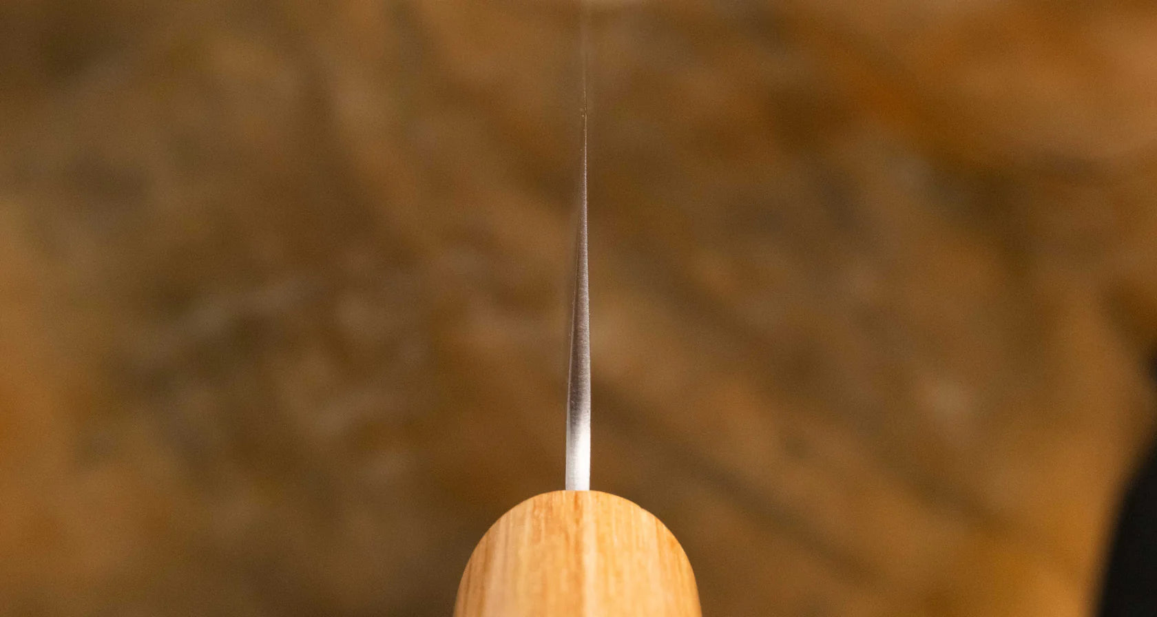 Tsunehisa Kiritsuke Shirogami #2 210mm Mes Braainest