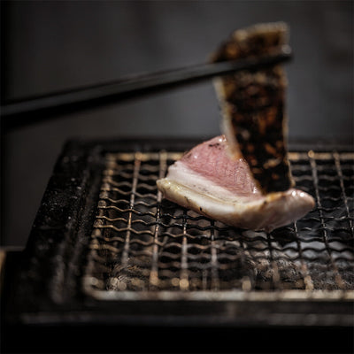 YAKINIKU Shichirin Rectangle Keramiek RVS LARGE Yakiniku