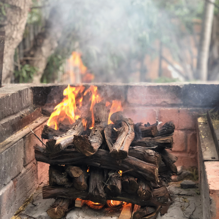 Camel Thorn Wood – Premium Braai Hardhout Braainest